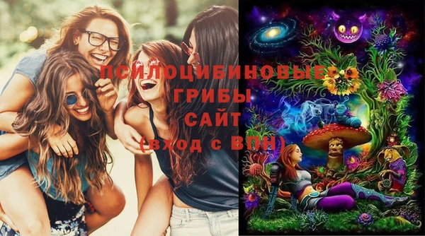винт Кинешма