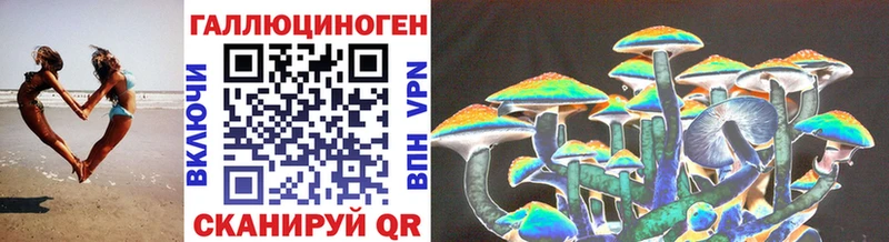 Купить  Верхотурье  Псилоцибиновые грибы прущие грибы 