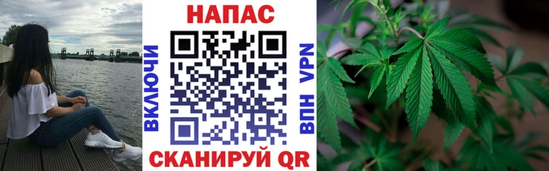 Бошки марихуана OG Kush  Купить закладки  Верхотурье 